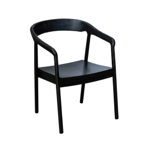 Tammy - Silla